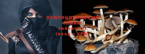 герыч Гусь-Хрустальный