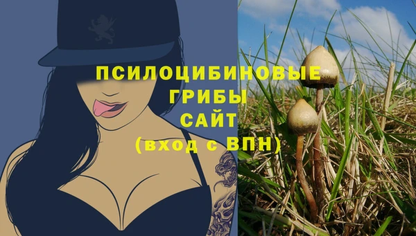 герыч Гусь-Хрустальный