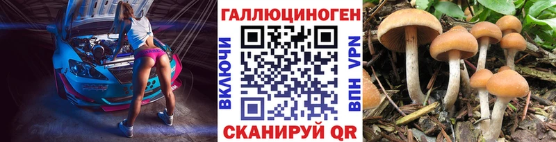 Галлюциногенные грибы Cubensis  Заволжск 
